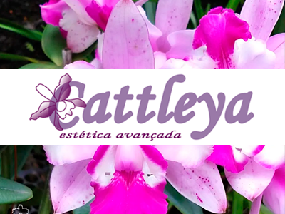 Cattleya